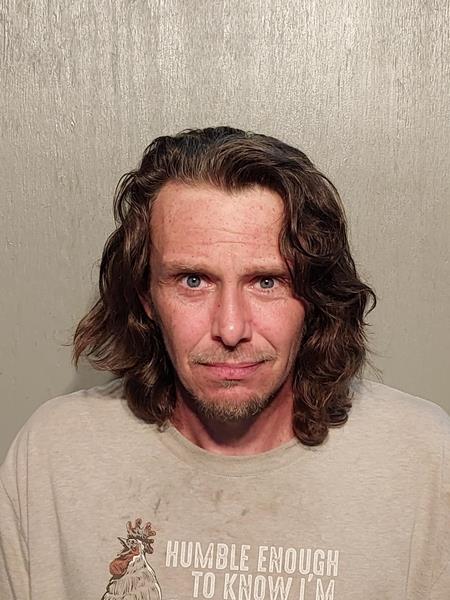 Mugshot of Clint Roger Flanary booked in Washington County, Virginia on August 9, 2026