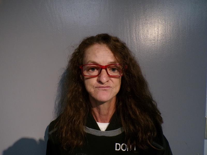 Mugshot of Cynthia Hurley booked in Washington County, Virginia on August 5, 2026
