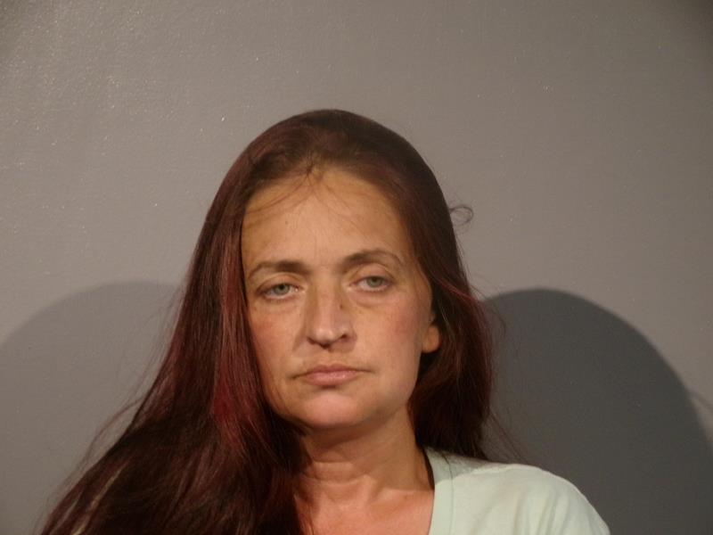 Mugshot of Clarissa Lynn Meadows booked in Washington County, Virginia on March 30, 2026