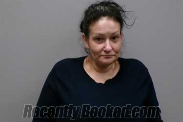 Booking photo from Washington County, Virginia