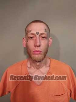 Booking photo from Washington County, Virginia