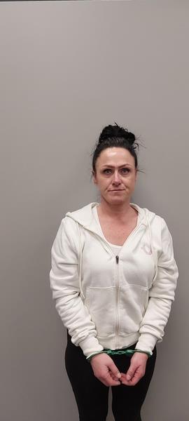 Mugshot of Crystal Michelle Snyder booked in Washington County, Virginia on March 24, 2026