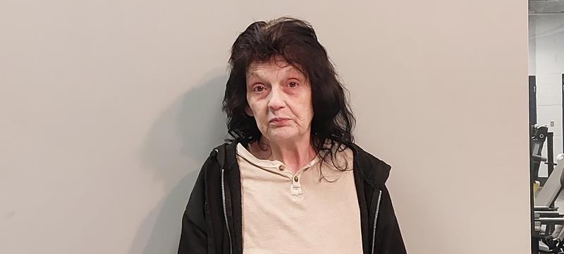 Mugshot of Christine Virginia Wood booked in Washington County, Virginia on August 17, 2026
