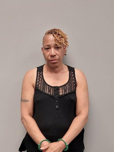 Mugshot of Denise L Ervin booked in Washington County, Virginia on May 11, 2026