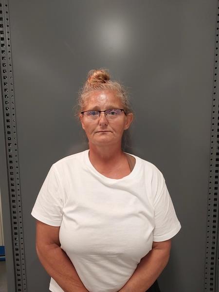 Mugshot of Denia Delynn Music booked in Washington County, Virginia on August 5, 2026