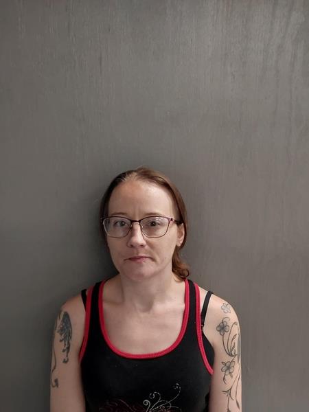 Mugshot of Destiny L Showalter booked in Washington County, Virginia on August 11, 2026