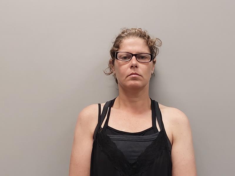 Mugshot of Elizabeth Catherine Davis booked in Washington County, Virginia on June 13, 2026