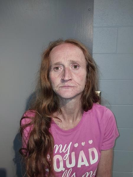 Mugshot of Elena Kay Yates booked in Washington County, Virginia on July 29, 2026