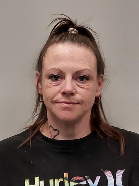 Mugshot of Felisha Leigh Powers booked in Washington County, Virginia on May 18, 2026