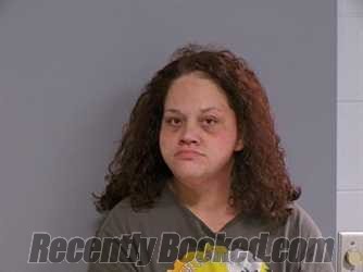 Booking photo from Washington County, Virginia