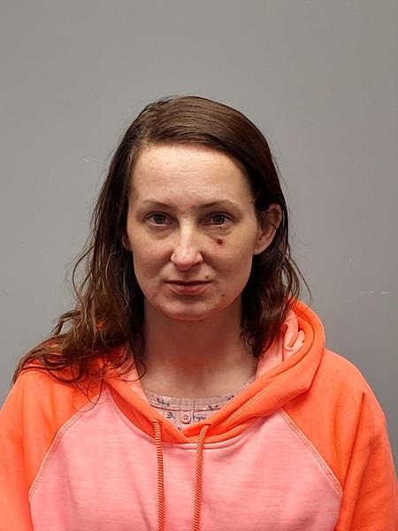 Mugshot of Heather Renee Cox booked in Washington County, Virginia on March 13, 2026