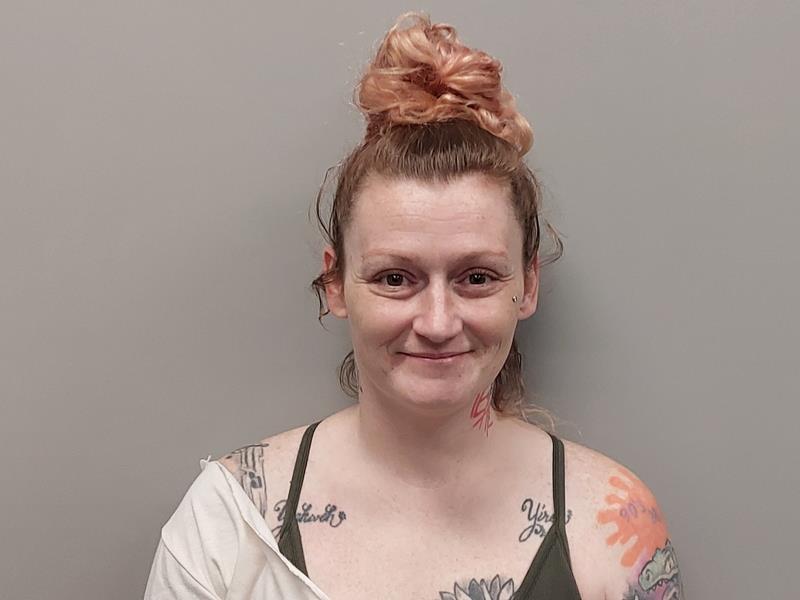 Mugshot of Jade Alix Mayo booked in Washington County, Virginia on June 9, 2026