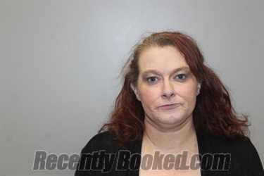 Booking photo from Washington County, Virginia