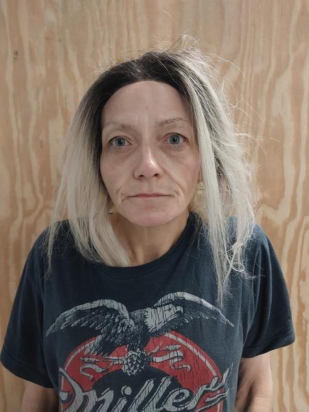 Mugshot of Janie Ann Teasley booked in Washington County, Virginia on August 6, 2026