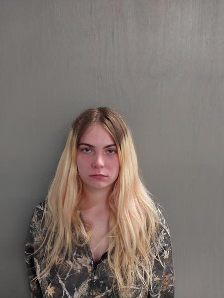 Mugshot of Kendall Rebecca Crane booked in Washington County, Virginia on October 24, 2026