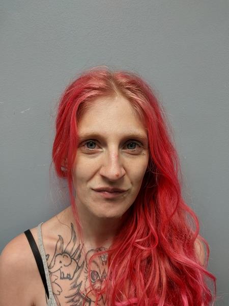 Mugshot of Katie Brianna Canterbury booked in Washington County, Virginia on July 29, 2026