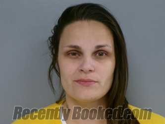 Booking photo from Washington County, Virginia