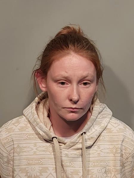 Mugshot of Karrlee Ann Lawson Gallihar booked in Washington County, Virginia on March 31, 2026