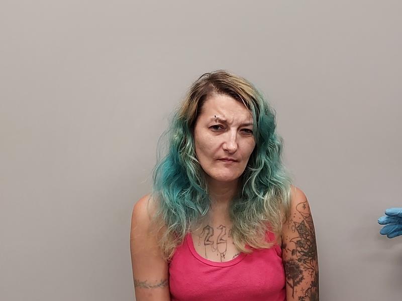 Mugshot of Katrina Renee Jones booked in Washington County, Virginia on June 14, 2026