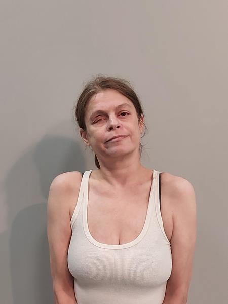 Mugshot of Kimberly Irene Perkins booked in Washington County, Virginia on August 7, 2026