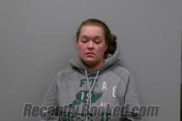 Booking photo from Washington County, Virginia