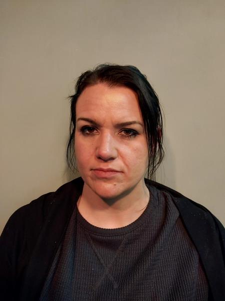 Booking photo from Washington County, Virginia