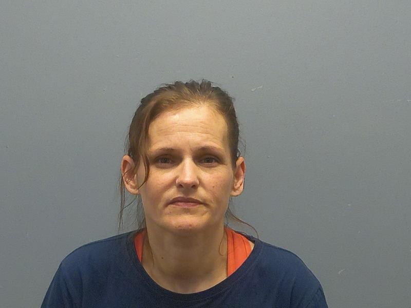 Mugshot of Lisa Marie Frisbee