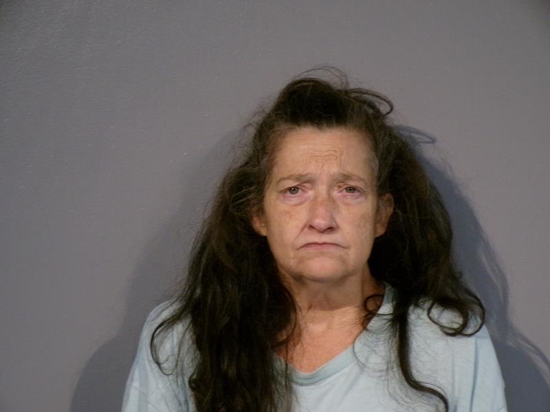 Mugshot of Lisa Yvonne Honaker booked in Washington County, Virginia on June 16, 2026