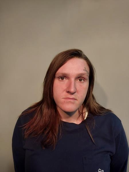 Booking photo from Washington County, Virginia