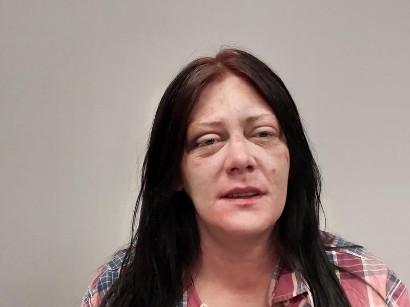 Mugshot of Lindsay Danielle Mullins booked in Washington County, Virginia on June 13, 2026