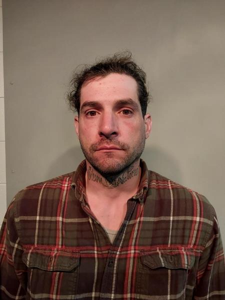 Mugshot of Logan Robert Perlini booked in Washington County, Virginia on March 16, 2026