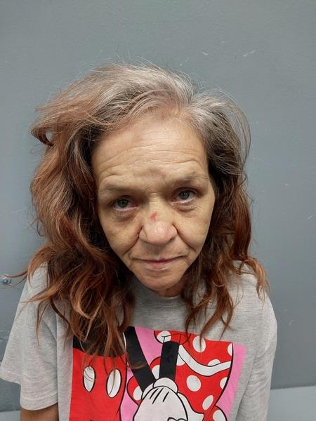 Mugshot of LORI PILKINS booked in Washington County, Virginia on June 9, 2026