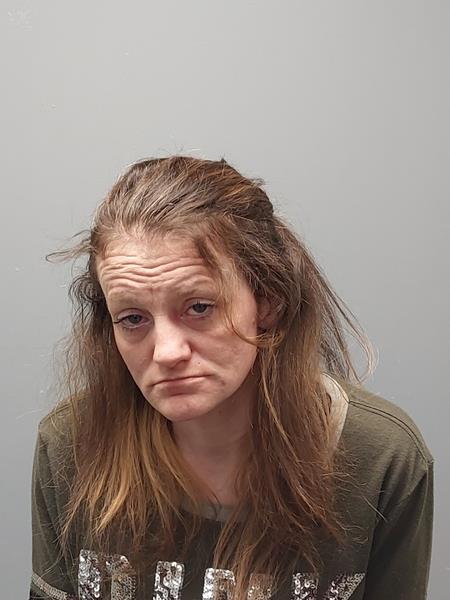 Mugshot of Laken Patricia Robinette booked in Washington County, Virginia on June 16, 2026