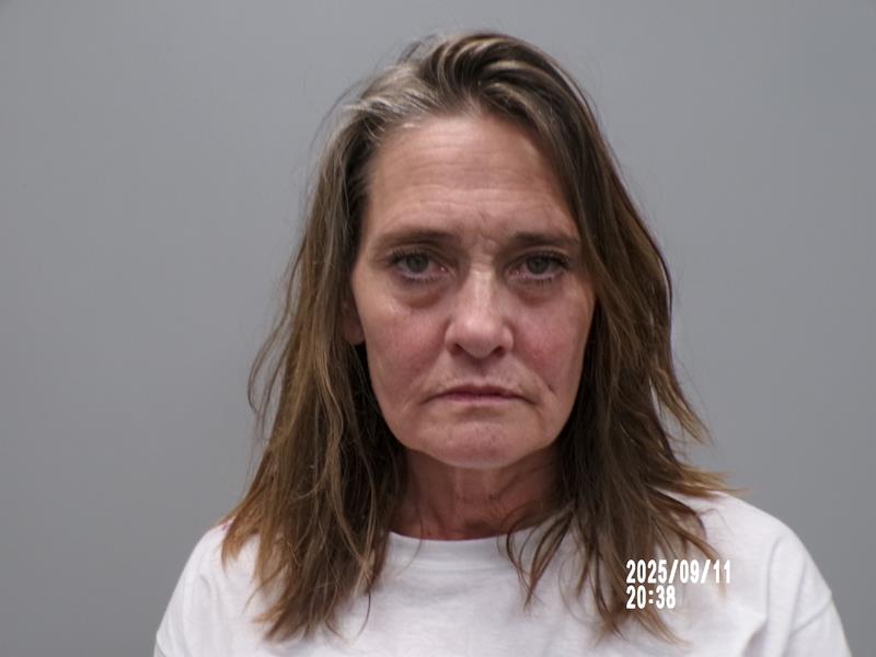 Mugshot of Misty Michelle Evans booked in Washington County, Virginia on July 2, 2026