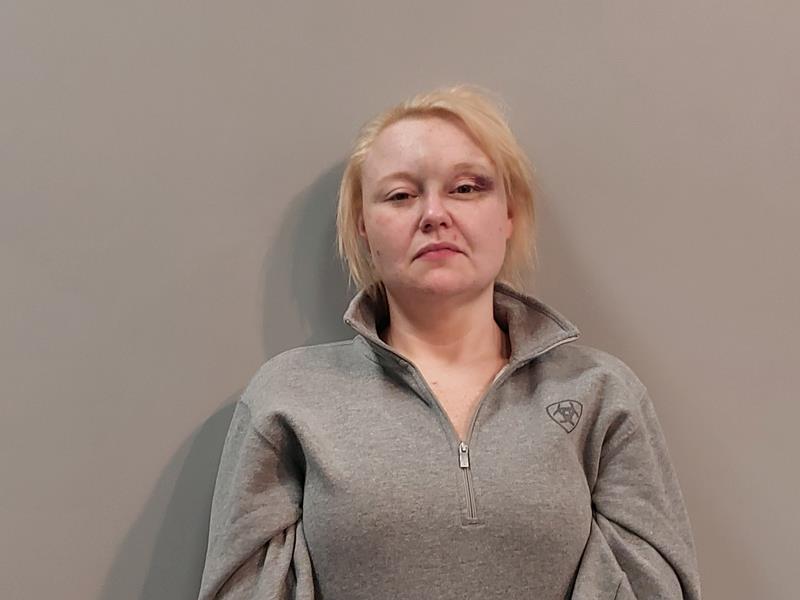 Mugshot of Melanie Nicole Hess booked in Washington County, Virginia on August 17, 2026