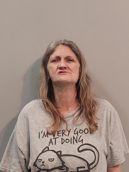 Mugshot of Melissa Anne Honaker booked in Washington County, Virginia on August 11, 2026