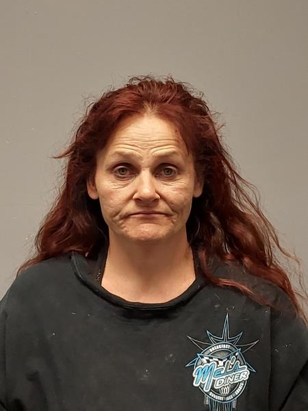 Mugshot of MELISSA JANE KENNEDY booked in Washington County, Virginia on March 31, 2026