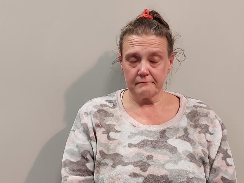 Mugshot of Michelle Hammons Owens booked in Washington County, Virginia on September 25, 2026