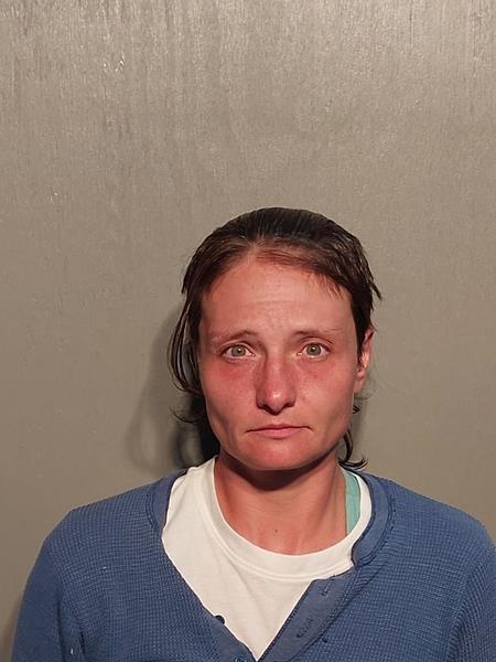 Mugshot of Miriam Eileen Woodworth booked in Washington County, Virginia on August 12, 2026