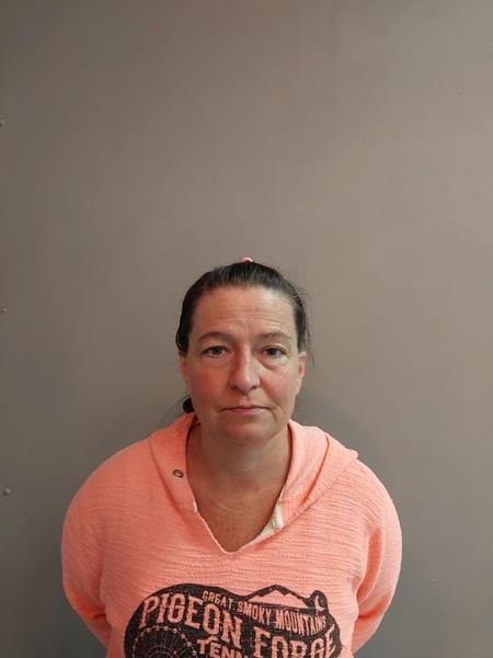 Mugshot of Martha Louellen Wiles booked in Washington County, Virginia on April 24, 2026