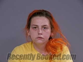 Booking photo from Washington County, Virginia