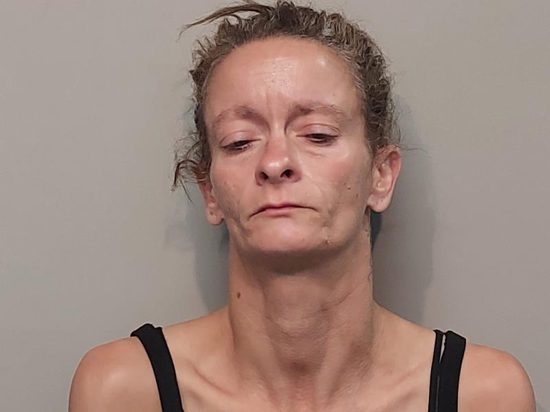 Mugshot of Renee N Edwards booked in Washington County, Virginia on June 27, 2026