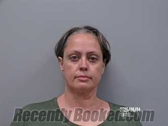 Booking photo from Washington County, Virginia