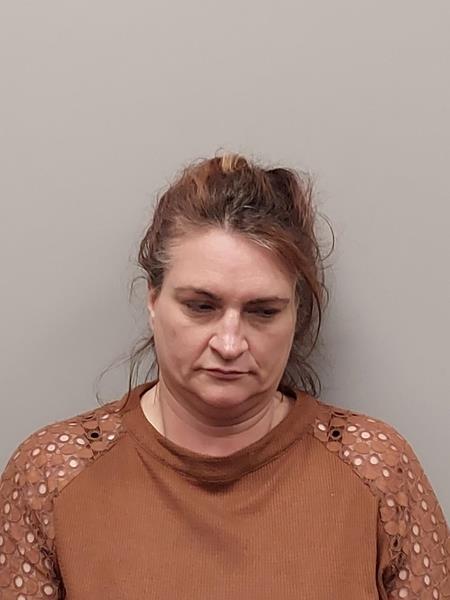 Mugshot of Rebecca Sue Salyers booked in Washington County, Virginia on June 10, 2026