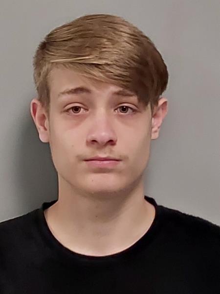 Mugshot of Skylor Allen Dishner booked in Washington County, Virginia on August 7, 2026