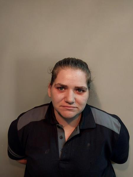 Mugshot of Sasha Ann Dandy booked in Washington County, Virginia on June 30, 2026