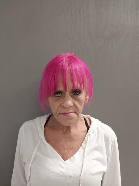 Mugshot of Sherry Elaine Fillmore booked in Washington County, Virginia on October 6, 2026