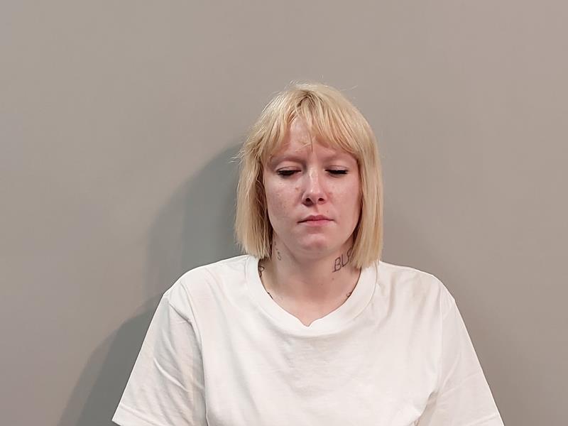 Mugshot of Sara Annie Hicks booked in Washington County, Virginia on August 4, 2026