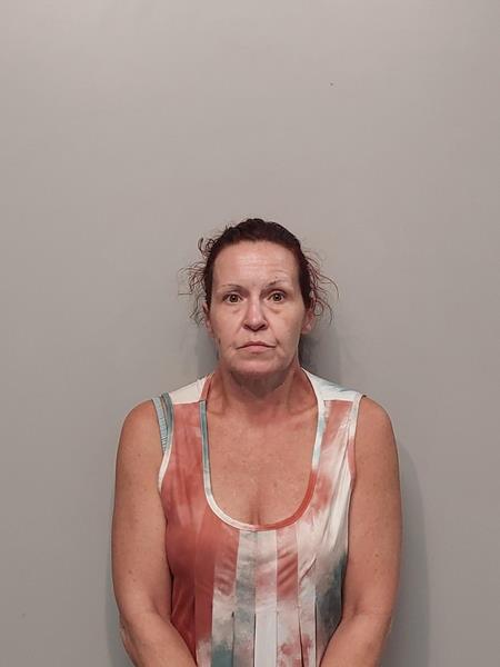 Mugshot of Sonya Lee Roark booked in Washington County, Virginia on June 30, 2026