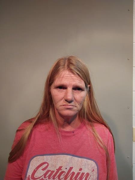 Mugshot of Sherrie Lynne Woods booked in Washington County, Virginia on July 28, 2026